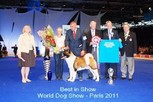 WORLD DOG SHOW (WDS) - Paris 2011