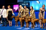 WORLD DOG SHOW (WDS) - Paris 2011