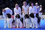 WORLD DOG SHOW (WDS) - Paris 2011