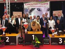 CACIB DIJON 2016