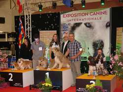 CACIB DIJON 2016