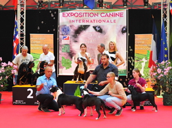CACIB DIJON 2016