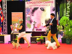 CACIB DIJON 2016