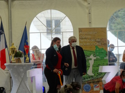 CACIB DIJON 2021 (Château de Brognon)