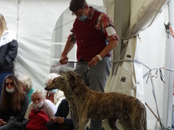 CACIB DIJON 2021 (Château de Brognon)