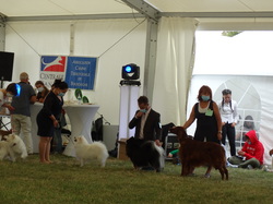 CACIB DIJON 2021 (Château de Brognon)