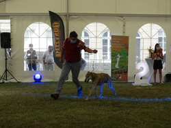 CACIB DIJON 2021 (Château de Brognon)