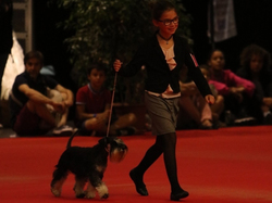 CACIB MÂCON 2018 - SAMEDI