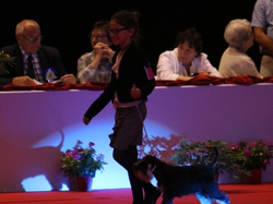 CACIB MÂCON 2018 - SAMEDI