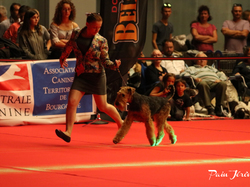 CACIB MÂCON 2018 - SAMEDI