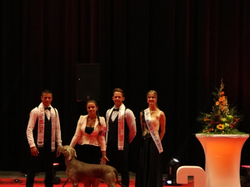 CACIB MÂCON 2018 - SAMEDI