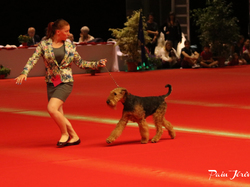 CACIB MÂCON 2018 - SAMEDI