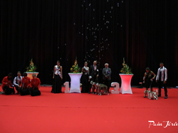 CACIB MÂCON 2018 - SAMEDI