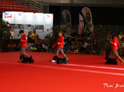 CACIB MÂCON 2018 - SAMEDI