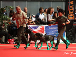 CACIB MÂCON 2018 - SAMEDI