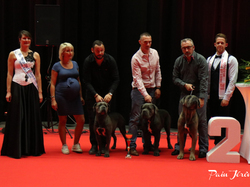 CACIB MÂCON 2018 - SAMEDI