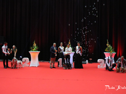 CACIB MÂCON 2018 - SAMEDI