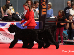 CACIB MÂCON 2018 - SAMEDI