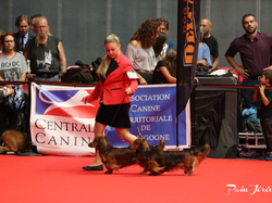 CACIB MÂCON 2018 - SAMEDI