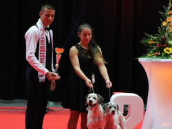 CACIB MÂCON 2018 - SAMEDI