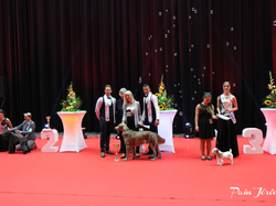 CACIB MÂCON 2018 - SAMEDI