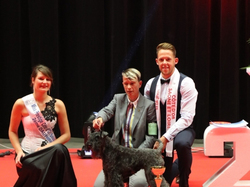 CACIB MÂCON 2018 - SAMEDI