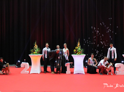 CACIB MÂCON 2018 - SAMEDI