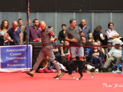 CACIB MÂCON 2018 - SAMEDI