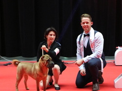 CACIB MÂCON 2018 - SAMEDI