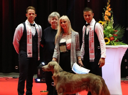 CACIB MÂCON 2018 - SAMEDI