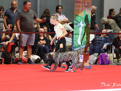 CACIB MÂCON 2018 - SAMEDI