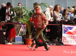 CACIB MÂCON 2018 - SAMEDI