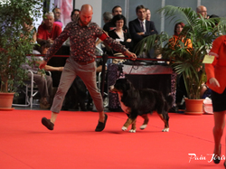 CACIB MÂCON 2018 - SAMEDI