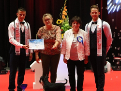 CACIB MÂCON 2018 - SAMEDI