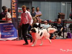 CACIB MÂCON 2018 - SAMEDI