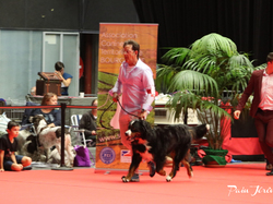 CACIB MÂCON 2018 - SAMEDI