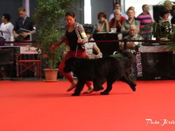 CACIB MÂCON 2018 - SAMEDI