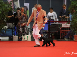 CACIB MÂCON 2018 - SAMEDI