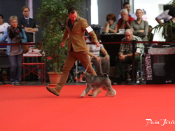 CACIB MÂCON 2018 - SAMEDI