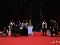 CACIB MÂCON 2018 - SAMEDI