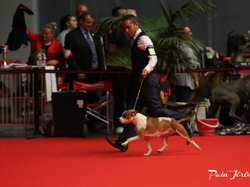 CACIB MÂCON 2018 - SAMEDI