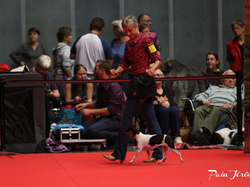 CACIB MÂCON 2018 - SAMEDI