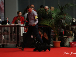 CACIB MÂCON 2018 - SAMEDI