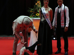 CACIB MÂCON 2018 - SAMEDI