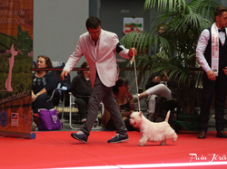 CACIB MÂCON 2018 - SAMEDI