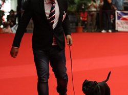 CACIB MÂCON 2018 - SAMEDI