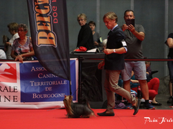 CACIB MÂCON 2018 - SAMEDI