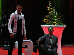 CACIB MÂCON 2018 - SAMEDI