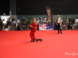 CACIB MÂCON 2018 - SAMEDI