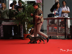 CACIB MÂCON 2018 - SAMEDI